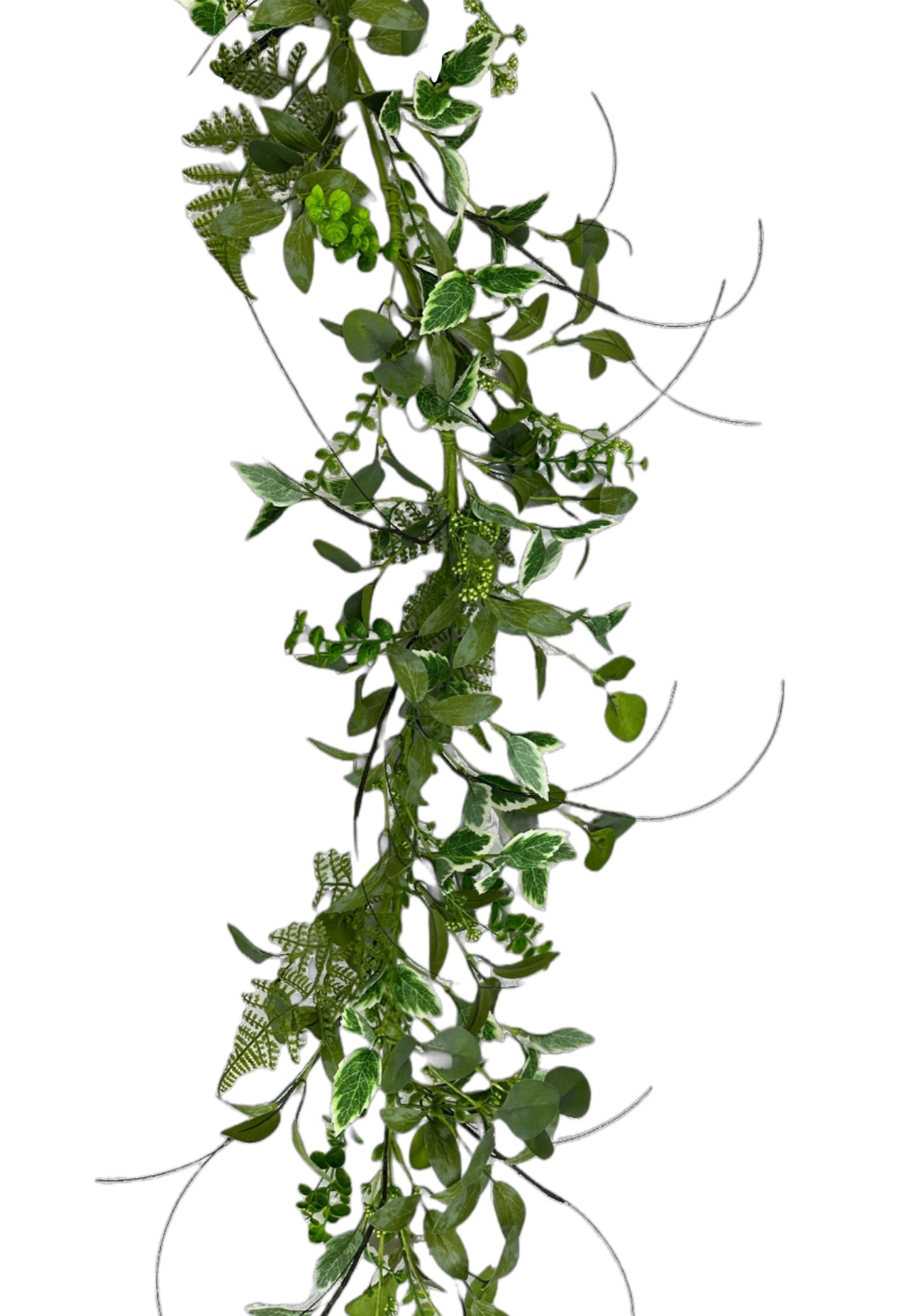 Everyday Greenery Page 3 Greenery Market everyday-greenery-page-3-greenery-market