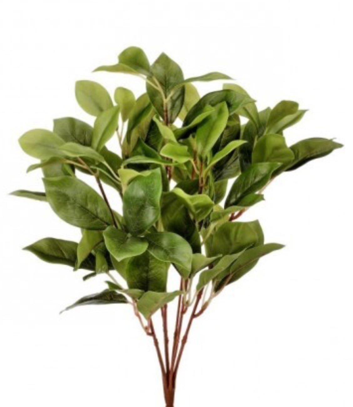 Artificial, laurel leaf, natural touch bush - Greenery MarketMTF24327