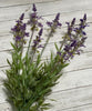 Artificial Lavender bush, faux lavender - Greenery Marketartificial flowers25779