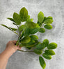 Artificial leaves bush - green - Greenery Market27752