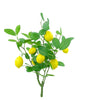 Artificial Lemon bush - Greenery MarketArtificial Flora62813BU24