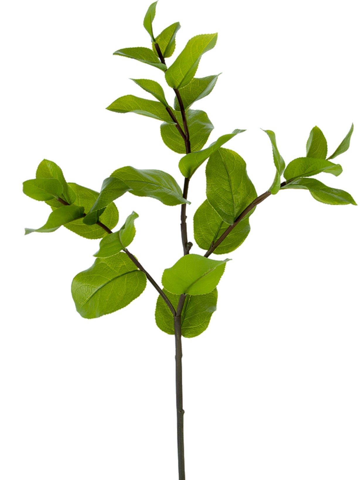 Artificial, lemon leaf, spray - Greenery Market2330046GR
