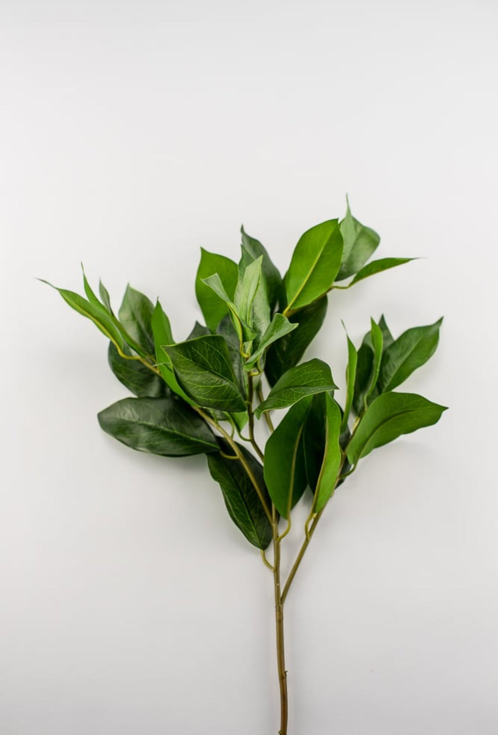 Artificial, lemon leaf, spray - Greenery MarketMTF23373