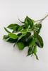 Artificial, lemon leaf, spray - Greenery MarketMTF23373