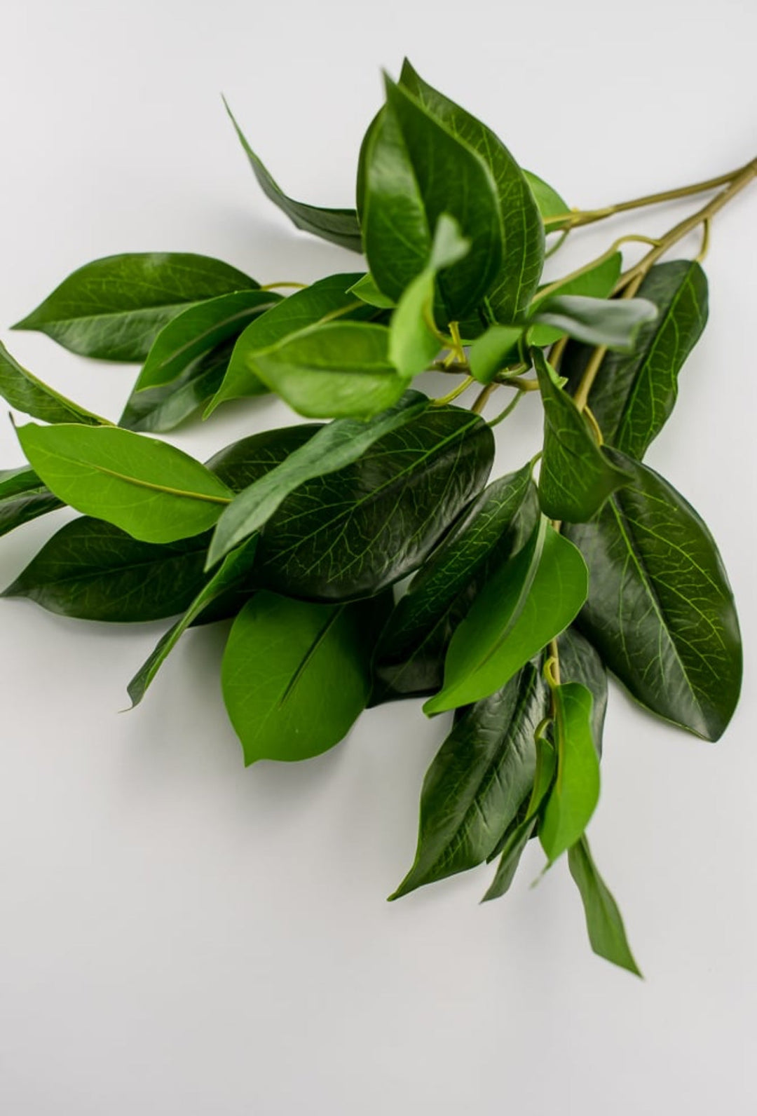 Artificial, lemon leaf, spray - Greenery MarketMTF23373