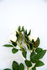 Artificial mini garden rose spray - Greenery Market2220064WH