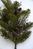 Artificial mixed pine and cone spray - Greenery MarketWinter and ChristmasX1588-g