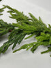 Artificial Norfolk pine fir pine garland - 6’ - Greenery Marketgreenery2833308GR