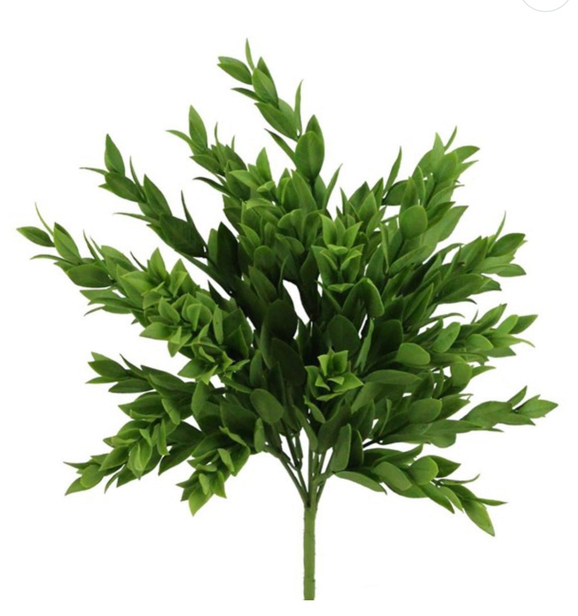 Artificial ruscus greenery bush - Greenery MarketgreeneryPF172532