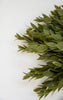 Artificial ruscus greenery bush - warm green - Greenery MarketgreeneryPF172548