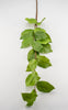 Artificial salal leaf spray 44” - Greenery Market2310391GR
