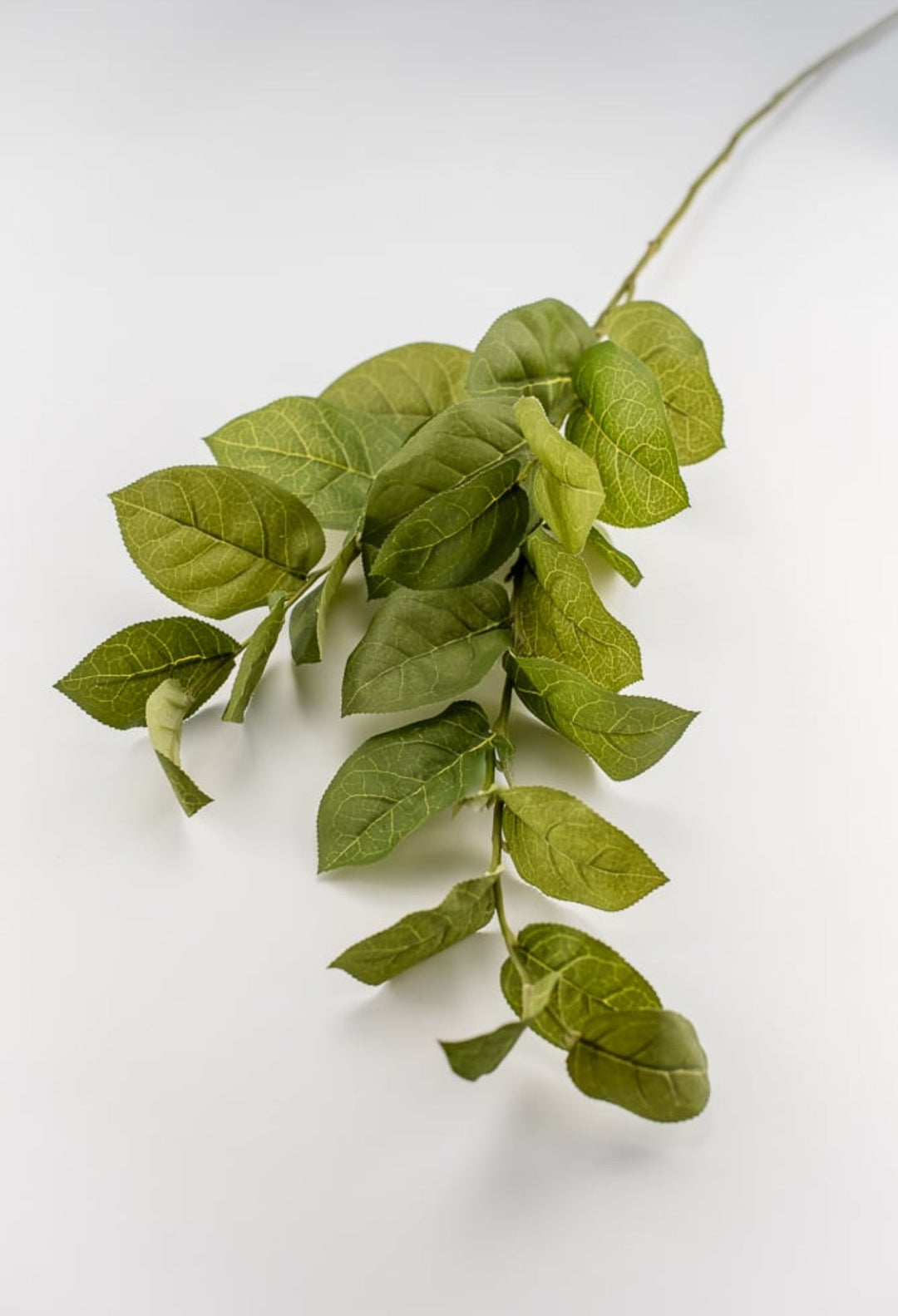 Artificial salal leaf spray - Greenery MarketFL5193-g