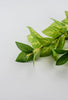 Artificial silk leaf spray - Greenery Marketartificial flowers32013
