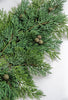 Artificial soft Cypress spray - Greenery Marketgreenery27385