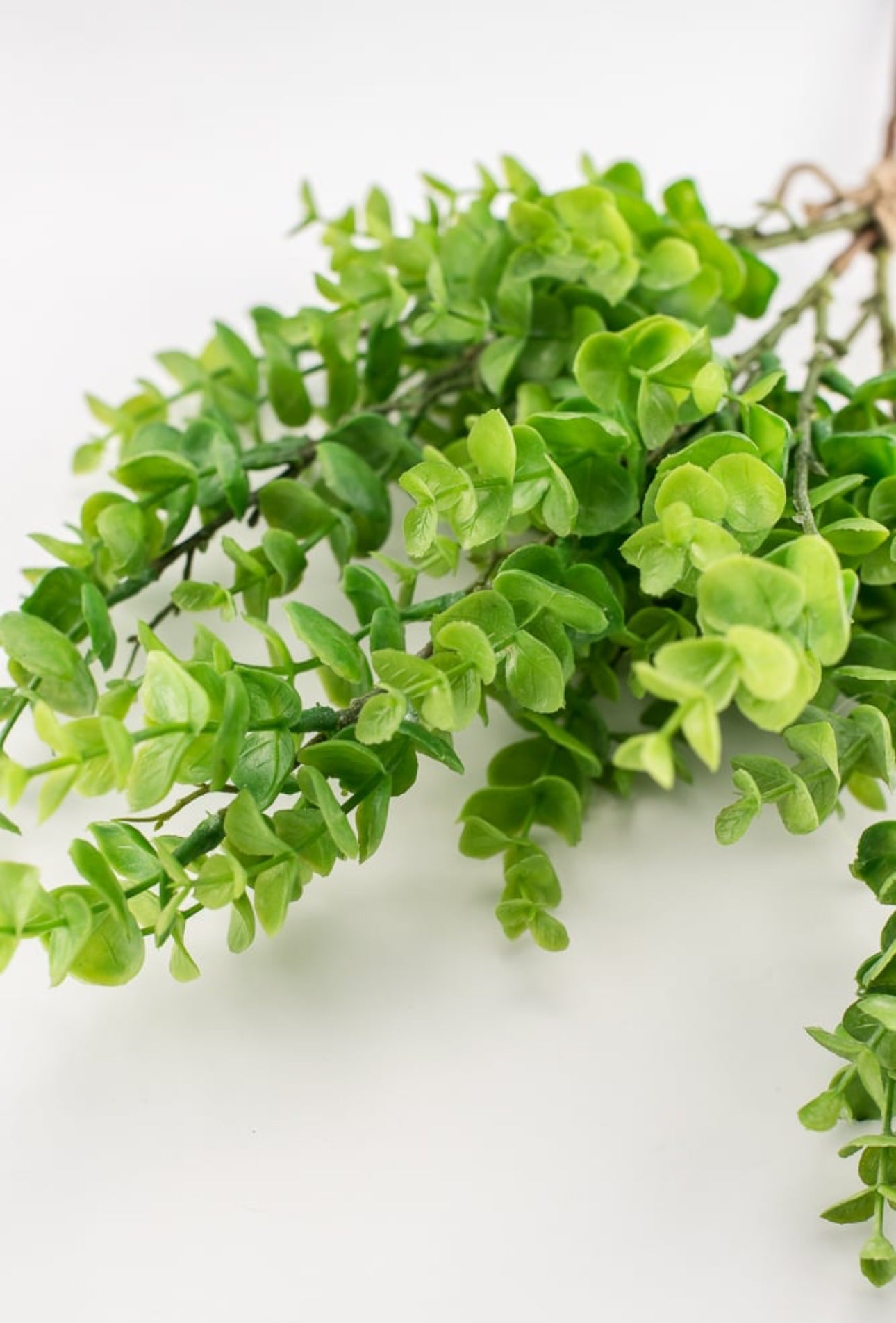 Artificial, spiral eucalyptus bundle Greenery Market