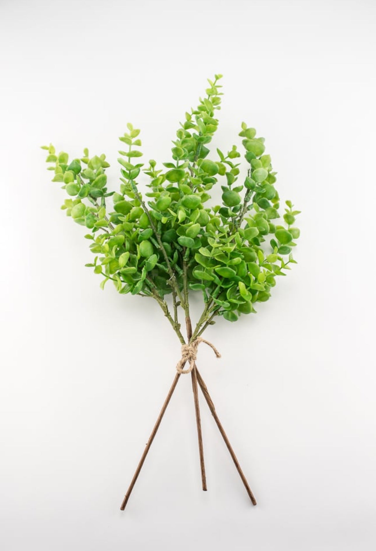 Artificial, spiral eucalyptus bundle Greenery Market