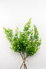 Artificial, spiral eucalyptus bundle - Greenery MarketWinter and Christmas2751096GR
