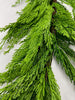 Artificial white cedar pine garland - 6’ - Greenery Marketgreenery2833267GR