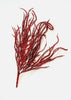 Artificial willow bush - glittered red - Greenery MarketArtificial Flora82841 Rd