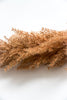Astilbe stem - rusty brown - Greenery Market83953-BRN