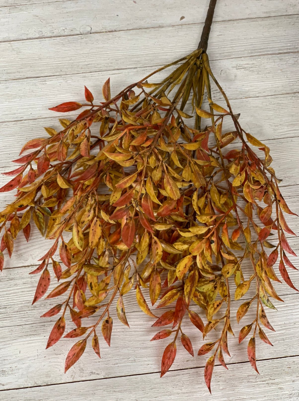Autumn nandina bush, red brown greenery - Greenery MarketFL5300-RBRN
