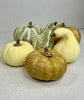 Bag of cream, beige, tan and sage green Pumpkins - Greenery Market81367