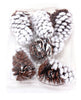 Bag of snowy pinecones - Greenery MarketSeasonal & Holiday Decorations126353