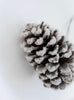 Bag of snowy pinecones x 6 - Greenery MarketSeasonal & Holiday Decorations126353