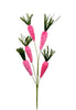 Beauty Hot pink carrots spray - Greenery MarketPicks63437BT