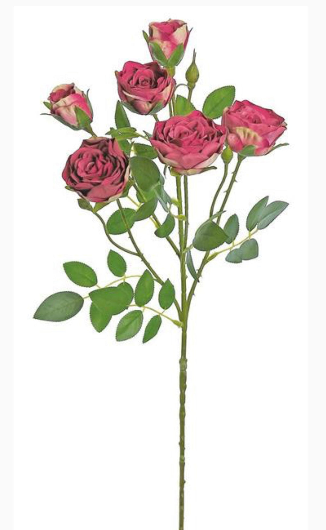 Beauty pink spray rose - Greenery Market5072-rtr