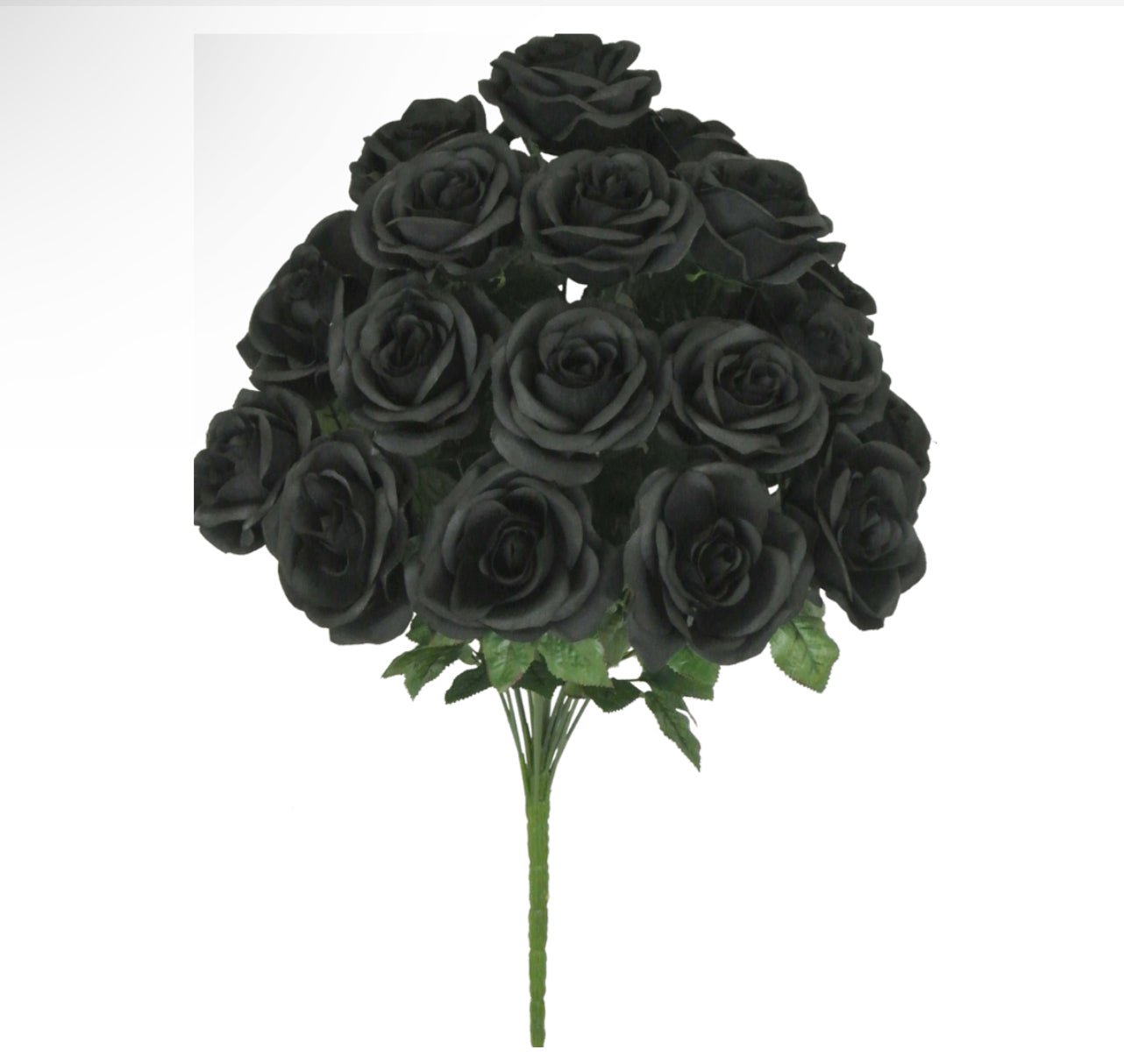 Black rose bush - Greenery Market