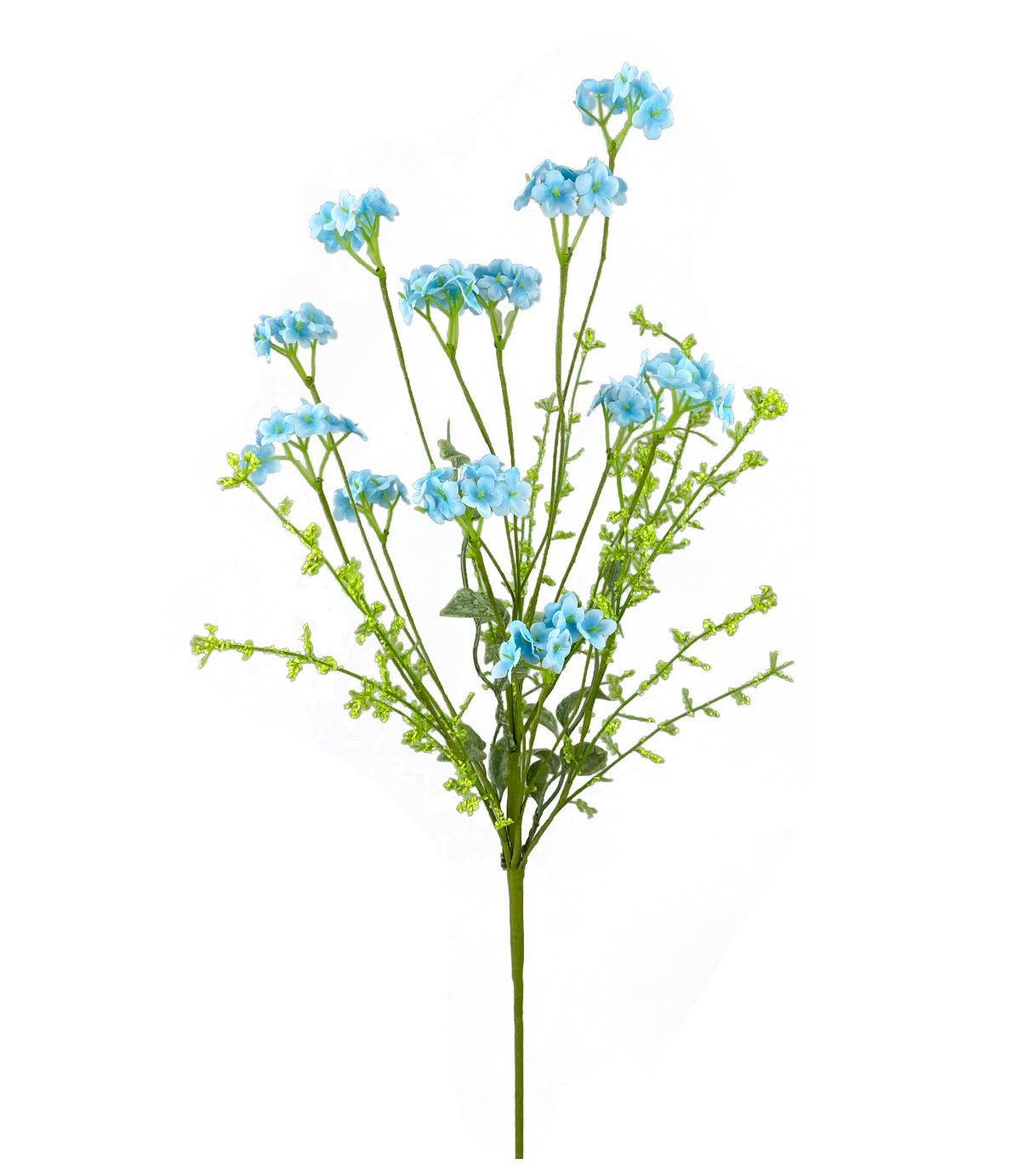 Blue viburnum filler flower bush - Greenery Market