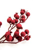 Burgundy red flocked berry - Greenery Market83797-RD