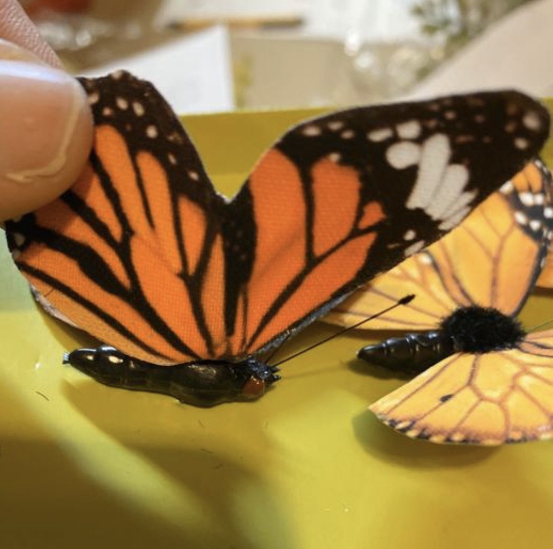 Butterfly- box of 6 butterflies - orange - Greenery Market