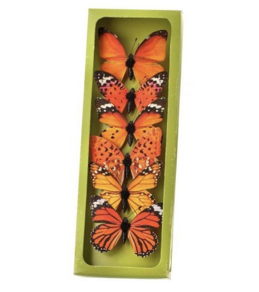 Butterflies 蝶の道 Circle Jackie - Multi Black/ Nouveau Butterfly - Butterflies of その他