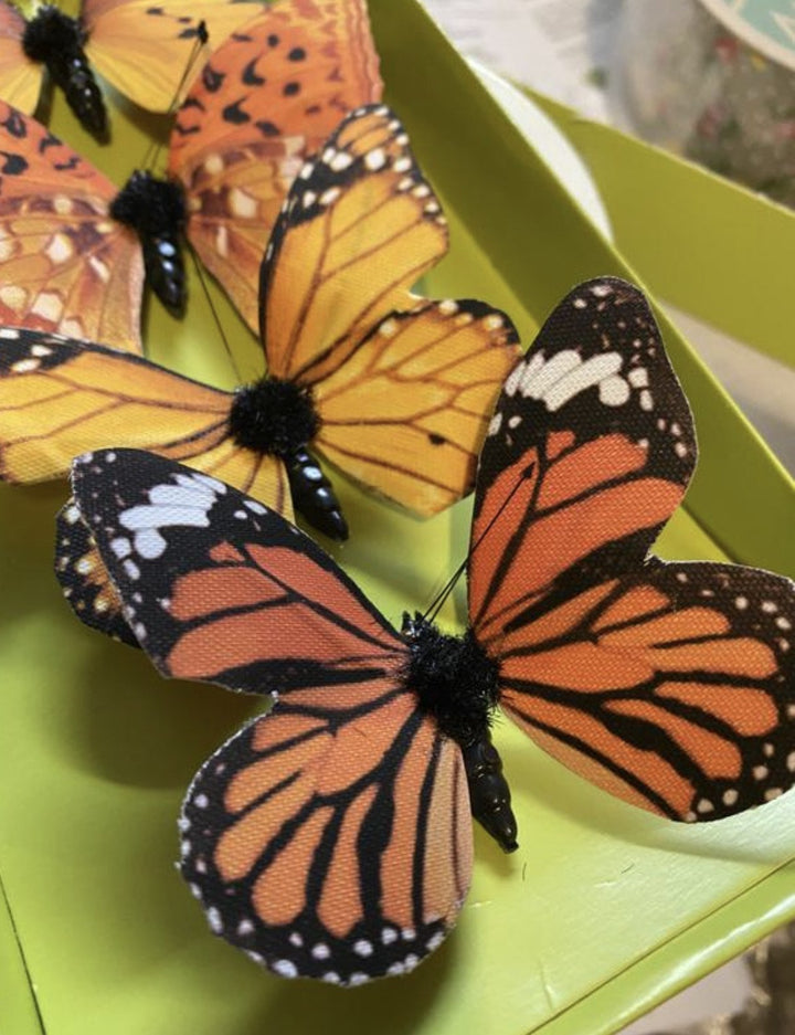 Butterfly- box of 6 butterflies - orange - Greenery MarketWreath attachmentsMT24190 OR