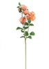Cabbage rose spray - peach coral - Greenery Market5977cor