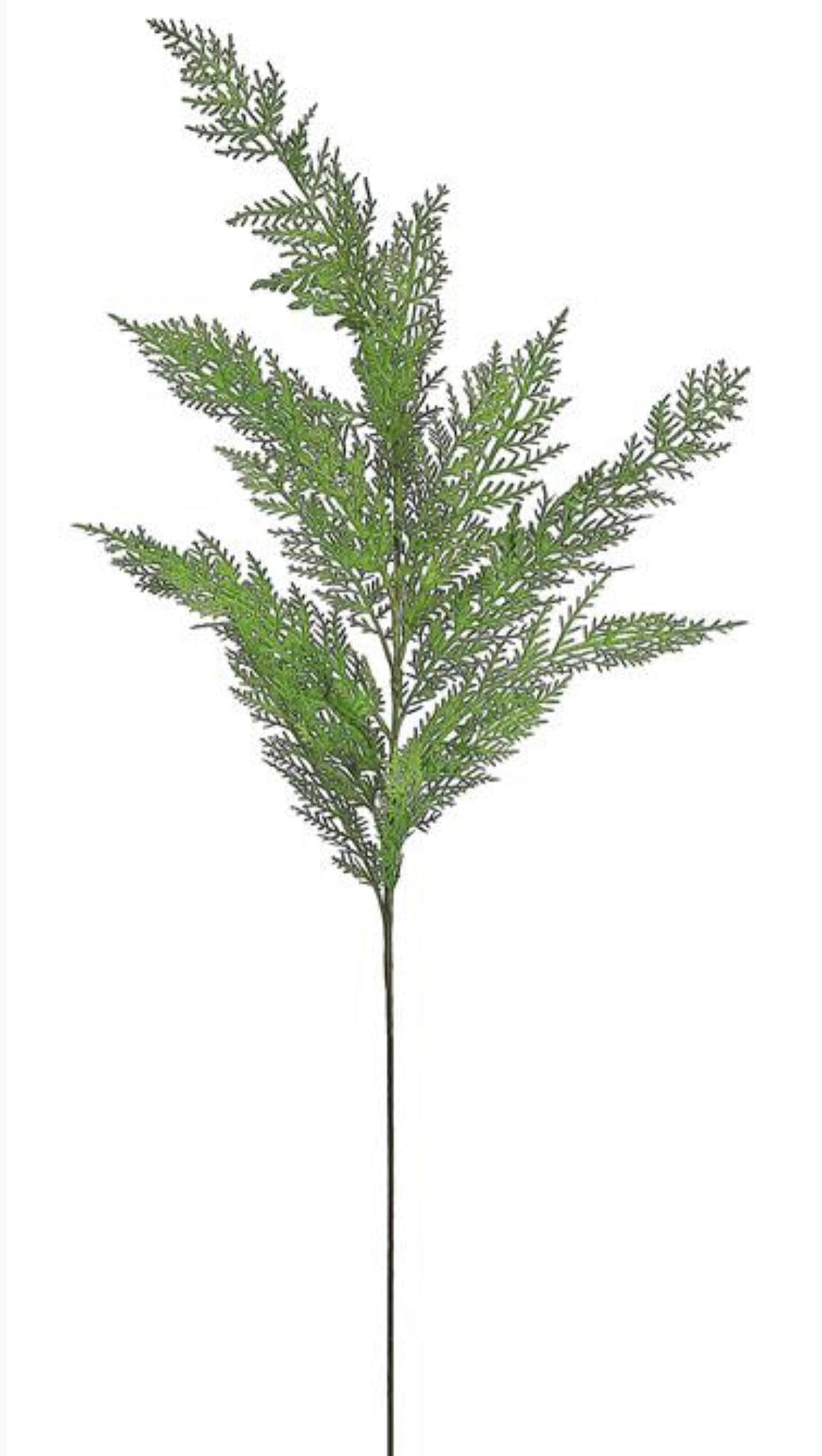 Cedar spray - 44” - Greenery MarketXd550-g