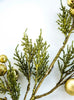 Cedar spray with gold ornaments 26” - Greenery MarketXG962-GO