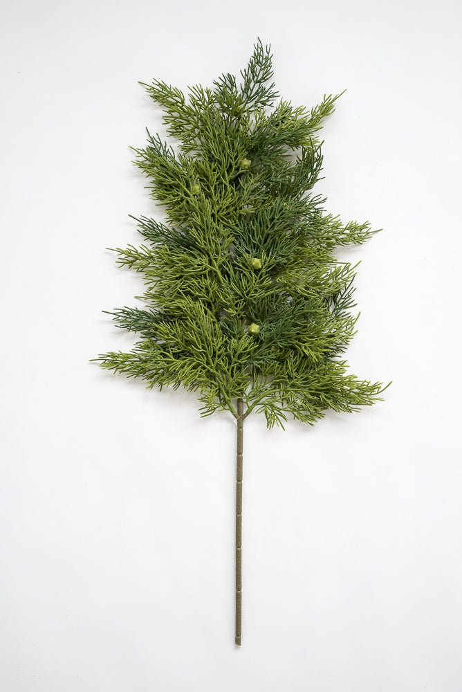 Cedar spray - Greenery Marketgreenery27355