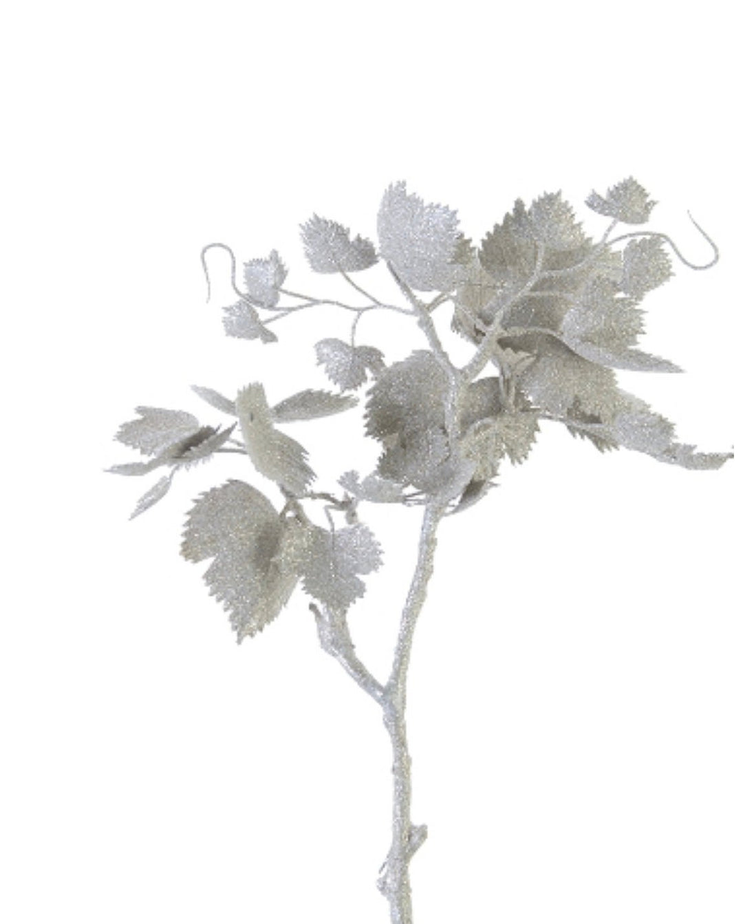 Champagne grape leaves - Greenery Market2825138CH