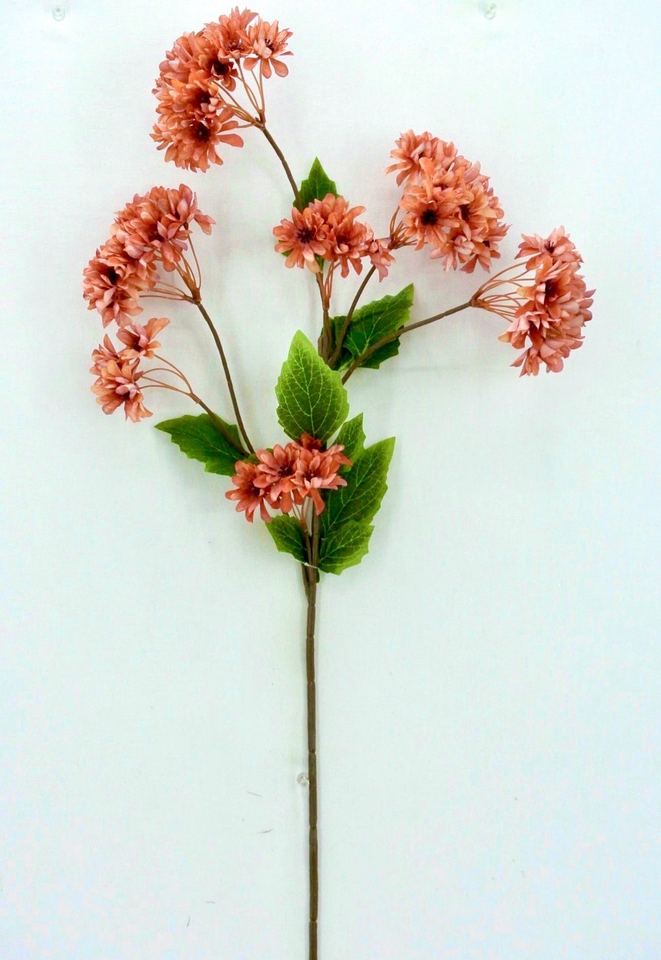 Chrysanthemum Flower spray - salmon - Greenery Market20151-SALMON
