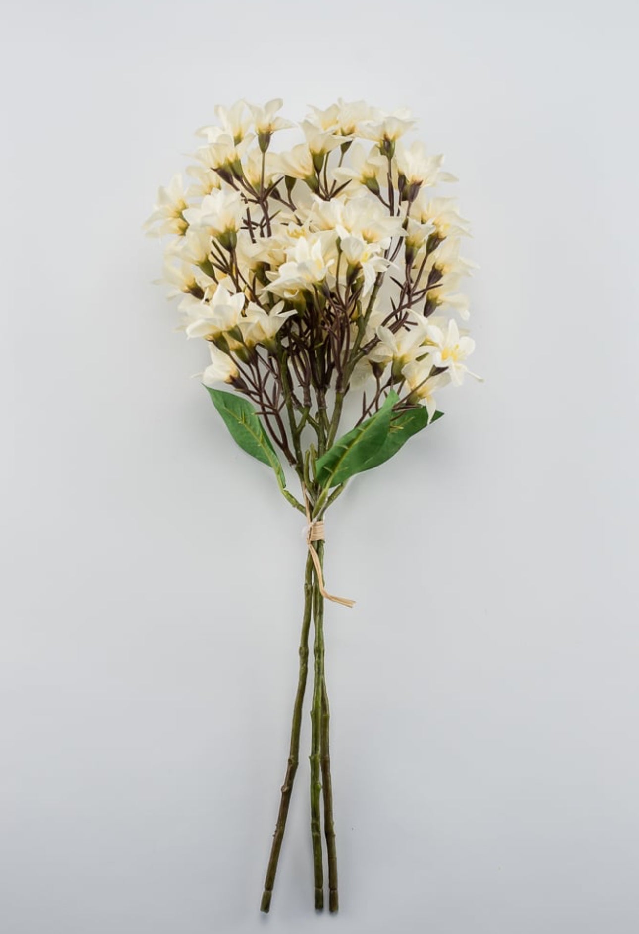 Cluster flower bundle x 3 cream - Greenery Market