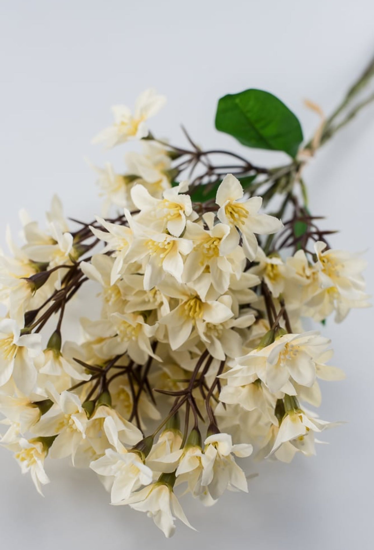 Cluster flower bundle x 3 cream - Greenery Market