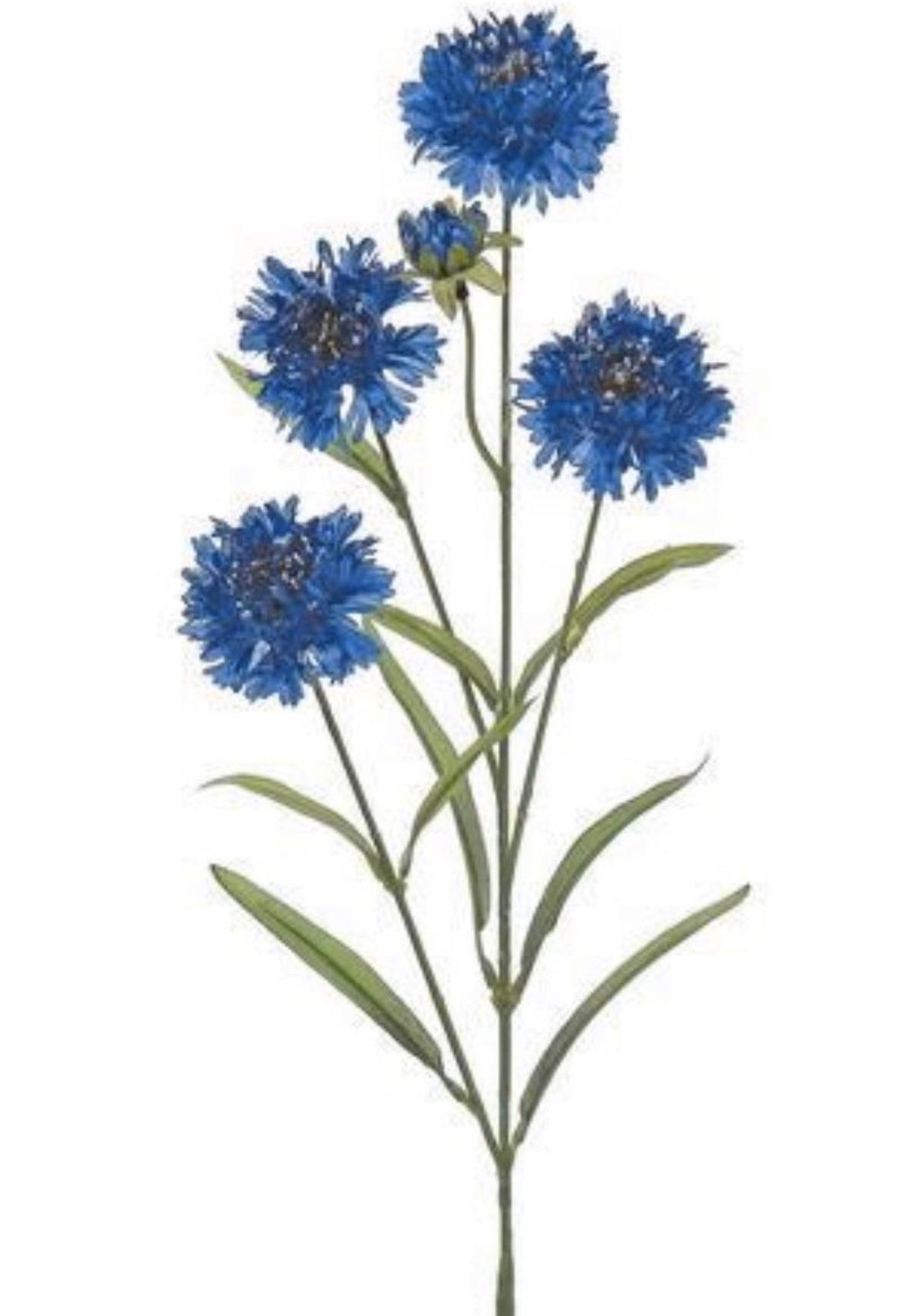 Cornflower spray, blue filler flowers - Greenery Market