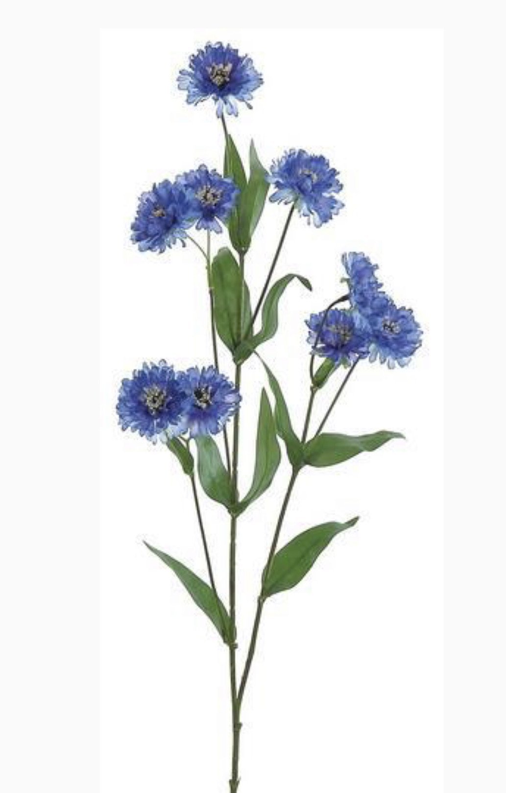 Cornflower spray, blue flowers - Greenery Marketartificial flowers2637-DB