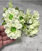 Cream flower bush - Greenery Marketgreenery97201