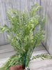Cream Green fern, greenery x 2 bushes - Greenery Marketgreenery43225