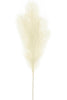 Cream pampas plume spray - Greenery MarketArtificial FloraFG601337