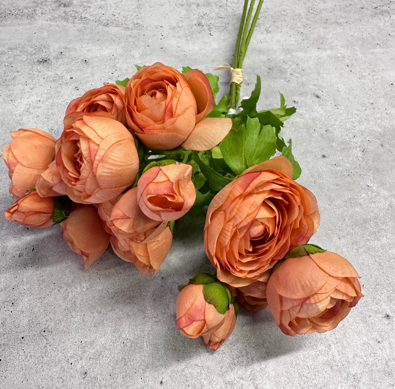 Peach Ranunuculus Peach Ranunculus